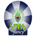 Vita Fancy - фэнтезийная пряжа