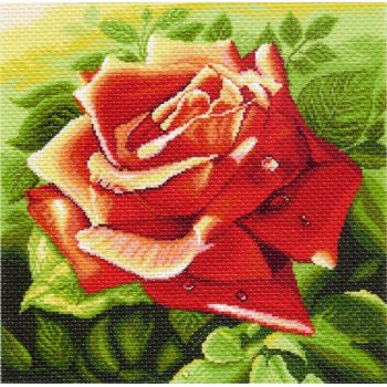 Красная роза (41х41)